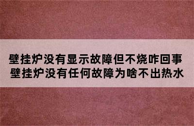 壁挂炉没有显示故障但不烧咋回事 壁挂炉没有任何故障为啥不出热水